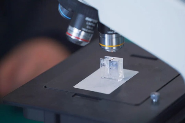 1000017444.jpg 1000017444.jpg